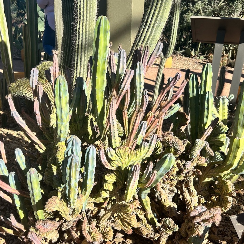 Meet your Posher, Marnee